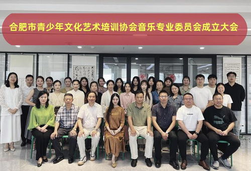 合肥市青少年文化藝術(shù)培訓(xùn)協(xié)會(huì)音樂(lè)專業(yè)委員會(huì)正式成立